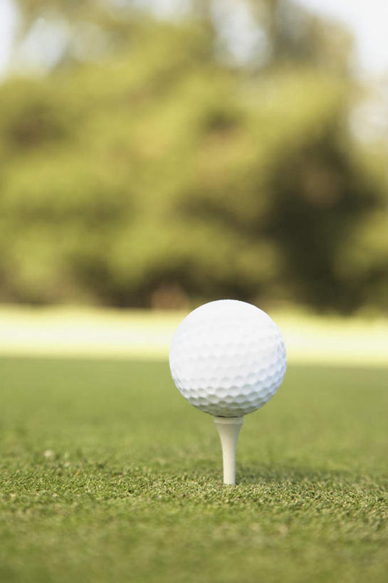 无人,竖图,室外,特写,白天,正面,草地,草坪,植物,朦胧,模糊,木制,高尔夫,高尔夫球,球场,球座,高尔夫球场,草,树,树木,绿色,自然,木制品,生长,成长,支撑,高尔夫球杆,绿茵场,高尔夫运动,高尔夫球具,支持,彩图