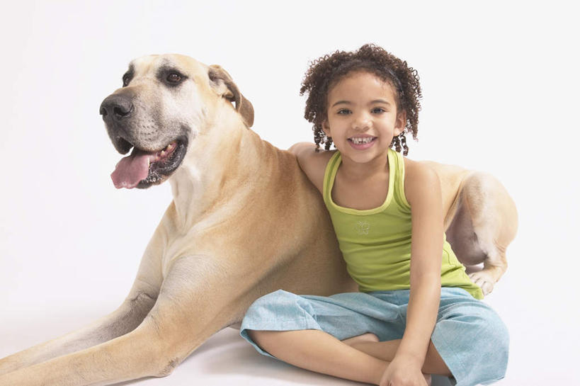 西方人,儿童,一个人,坐,笑,盘腿,微笑,露齿笑,横图,室内,白天,白色背景,正面,纯洁,宠物,狗,欧洲,非洲,黑人,欧洲人,仅一个女性,仅一个人,阴影,服装,反射,影子,注视,休闲装,一只,小孩,衣服,动物,观察,看,仅一个小孩,休闲,休闲服,可爱,童年,童趣,搭,摄影,服饰,影棚,观看,察看,搭着,关注,童真,烂漫,无邪,大丹狗,忠诚,大丹犬,德国獒狗,德国藏獒,德国獒犬,天真,女孩,女人,女性,非洲人,孩子,犬,盘腿而坐,盘膝,盘着腿的,盘着腿坐,双腿交叉,坐着,半身,彩图,影棚拍摄,拍摄,女生