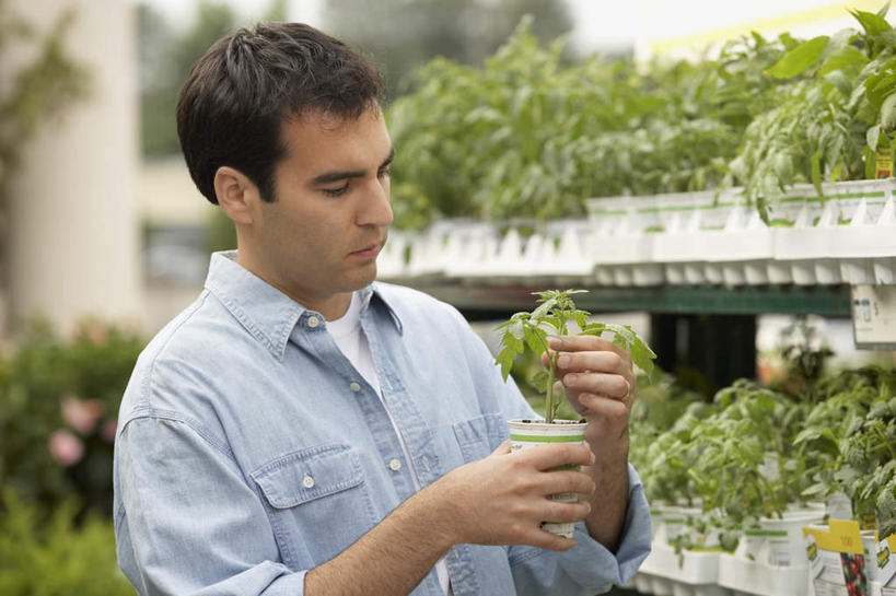 西方人,一个人,花店,商店,站,笑,微笑,横图,室外,白天,正面,农业,植物,欧洲,欧洲人,仅一个男性,仅一个人,握,阴影,服装,朦胧,模糊,光线,肥料,盆栽,影子,盆景,置物架,注视,休闲装,商铺,顾客,架子,仅一个年轻男性,衣服,绿色,阳光,自然,观察,看,站着,休闲,休闲服,握着,服饰,生长,成长,观看,察看,挑选,关注,选择,陈列架,市肆,商号,采选,遴选,筛选,挑拣,挑撰,搁架,主顾,营养元素,男人,男性,年轻男性,白种人,站立,半身,彩图,店铺