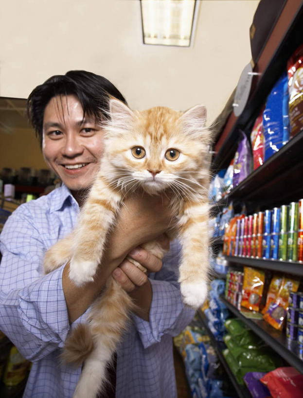 东方人,一个人,商店,站,抱,笑,微笑,竖图,室内,白天,侧面,衬衫,购物,消费,天花板,超市,宠物,猫,亚洲,仅一个男性,仅一个人,仅一个中年男性,握,阴影,服装,反射,影子,墙,食品,营养,置物架,注视,休闲装,黄种人,架子,墙壁,墙面,食物,一只,衣服,动物,观察,看,站着,休闲,休闲服,可爱,握着,金融,百货,服饰,便利店,抱着,观看,察看,搂着,猫粮,关注,饲料,陈列架,猫咪,选购,贸易,血拼,零售店,搁架,猫食,男人,男性,中年男性,亚洲人,搂,搂抱,站立,半身,彩图,衬衣,店铺,杂货店,杂货铺,犬粮