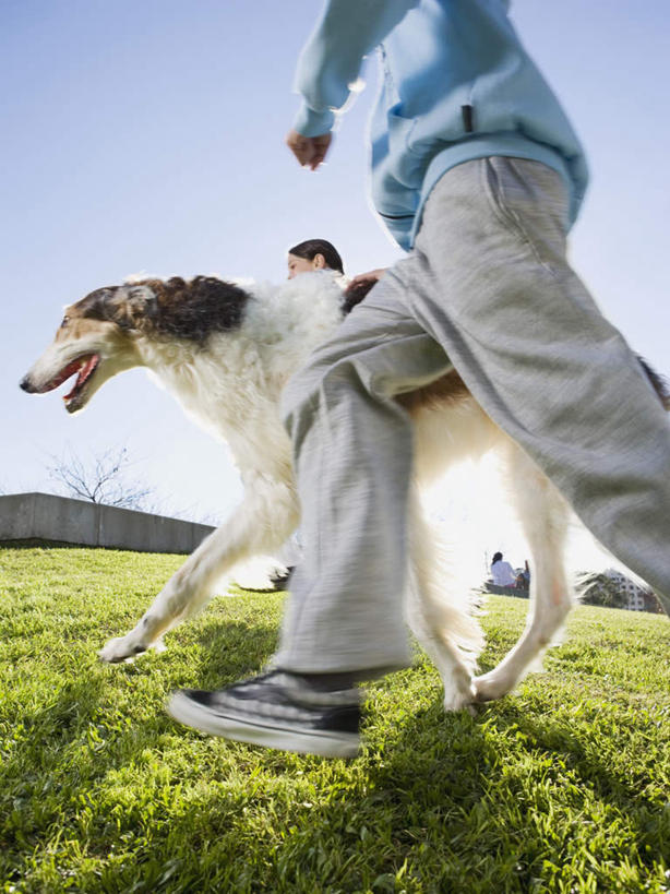 西方人,两个人,家庭,夫妻,跑,竖图,室外,白天,仰视,爱情,草地,草坪,植物,宠物,狗,欧洲,欧洲人,牵,阴影,服装,光线,影子,浪漫,注视,休闲装,草,一只,衣服,蓝色,绿色,蓝天,天空,阳光,动物,天,观察,看,休闲,温暖,温馨,一家人,休闲服,恩爱,可爱,恋人,服饰,牧羊犬,晴朗,观看,牵着,和睦,察看,关注,喜乐蒂牧羊犬,忠诚,喜乐蒂,喜乐蒂犬,万里无云,设得兰群岛牧羊犬,谢德兰牧羊犬,男人,男性,年轻女性,女人,女性,中年男性,白种人,年轻人,夫妇,情侣,晴空,晴空万里,犬,跑步,半身,彩图,低角度拍摄,伴侣,融洽