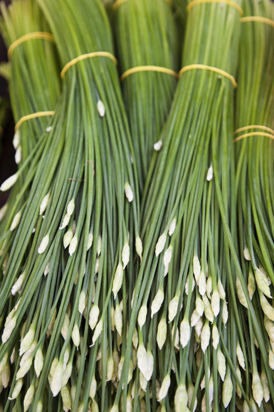 蝶泳,无人,俯视,室外,特写,白天,农作物,一堆,许多,堆叠,堆积,新鲜,谷物,绿色,稻谷,稻子,青春,堆,野生稻,生命,和平,安详,冷色,彩图,高角度拍摄