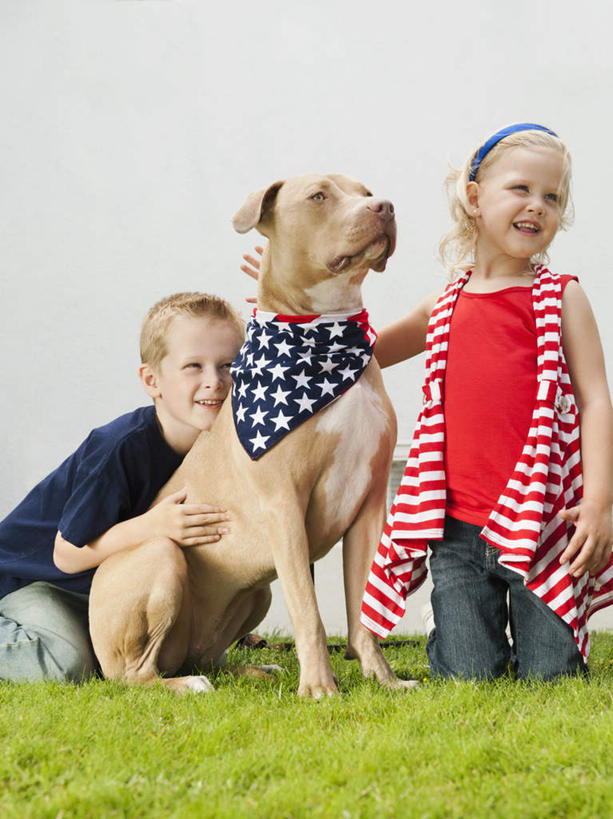 蝶泳,西方人,儿童,两个人,家庭,跪,笑,微笑,露齿笑,室外,白天,正面,纯洁,草地,草坪,植物,宠物,狗,旗帜,国旗,欧洲,欧洲人,阴影,服装,光线,影子,猎犬,猎兔犬,注视,休闲装,星条旗,草,一只,小孩,衣服,绿色,阳光,动物,观察,看,趴着,休闲,温暖,温馨,一家人,休闲服,可爱,童年,童趣,美国国旗,服饰,观看,和睦,察看,关注,童真,烂漫,无邪,忠诚,天真,男孩,男人,男性,女孩,女人,女性,白种人,旗,犬,跪着,趴,半身,彩图,美利坚合众国国旗,法老王猎犬,科博特菲勒犬,融洽,男生,女生
