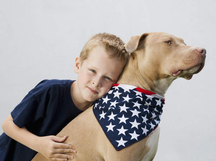 冲浪,西方人,儿童,一个人,抱,笑,微笑,室内,白天,白色背景,侧面,纯洁,宠物,狗,旗帜,国旗,欧洲,欧洲人,仅一个男性,仅一个人,阴影,服装,反射,影子,猎犬,猎兔犬,注视,休闲装,领巾,星条旗,一只,小孩,衣服,动物,围巾,观察,看,靠,靠着,仅一个小孩,休闲,休闲服,可爱,童年,童趣,美国国旗,摄影,服饰,影棚,抱着,观看,察看,搂着,关注,童真,烂漫,无邪,忠诚,天真,男孩,男人,男性,白种人,孩子,旗,犬,搂,搂抱,半身,彩图,影棚拍摄,拍摄,美利坚合众国国旗,法老王猎犬,科博特菲勒犬,男生