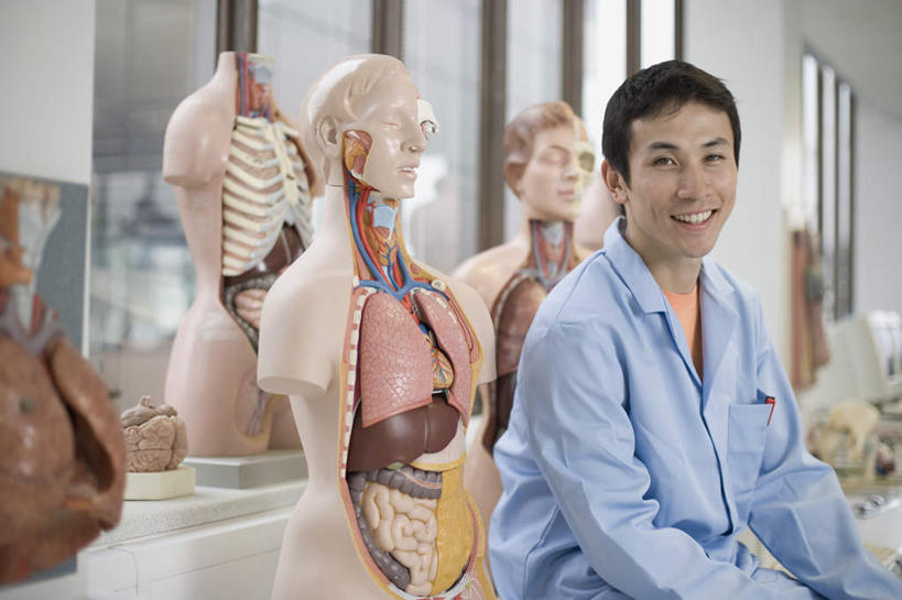 东方人,内脏,动脉,静脉,一个人,科学家,坐,笑,微笑,露齿笑,横图,室内,白天,侧面,窗户,静物,亚洲,仅一个男性,仅一个人,仅一个中年男性,服装,医学,墙,实验室,研究室,扭头,注视,黄种人,玻璃窗,墙壁,墙面,衣服,白色,模型,观察,看,转头,人体,服饰,观看,察看,生物学,人体器官,衣着,科研人员,器官,白大褂,穿着,关注,研究者,试验室,实验服,科学研究者,生理学,衣饰,男人,男性,中年男性,亚洲人,科学工作者,坐着,半身,彩图,实验衣