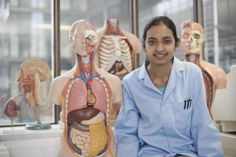 东方人,内脏,动脉,静脉,一个人,坐,笑,微笑,露齿笑,横图,室内,白天,正面,窗户,静物,亚洲,仅一个年轻女性,仅一个女性,仅一个人,服装,医学,笔,办公用品,注视,黄种人,水笔,玻璃窗,文具,衣服,蓝色,模型,学习用品,观察,看,人体,服饰,观看,文具用品,察看,生物学,人体器官,衣着,器官,白大褂,穿着,关注,实验服,生理学,衣饰,年轻女性,女人,女性,亚洲人,坐着,半身,彩图,实验衣