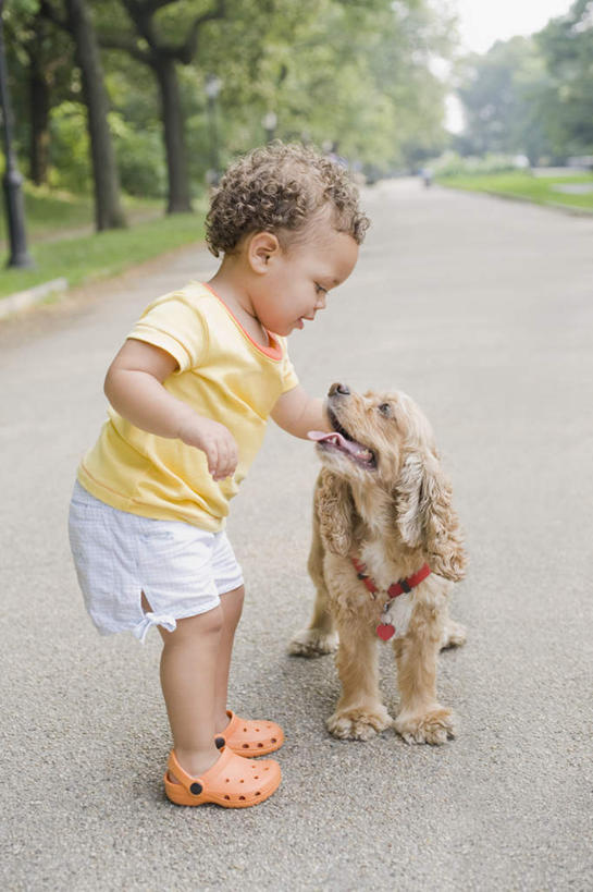 西方人,儿童,一个人,站,笑,摸,微笑,竖图,室外,白天,侧面,纯洁,草地,草坪,植物,道路,路,宠物,狗,欧洲,欧洲人,仅一个女性,仅一个人,抚摸,阴影,服装,光线,影子,小路,猎犬,交通,注视,休闲装,草,树,树木,一只,小孩,衣服,绿色,阳光,自然,动物,低头,观察,看,站着,仅一个小孩,休闲,休闲服,可爱,童年,童趣,服饰,生长,成长,观看,察看,关注,童真,烂漫,无邪,忠诚,天真,女孩,女人,女性,白种人,孩子,犬,触摸,接触,站立,彩图,全身,单猎犬,女生