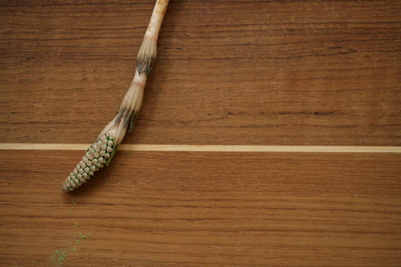 无人,横图,俯视,室内,特写,白天,地板,芦笋,蔬菜,一根,阴影,新鲜,反射,影子,食品,地面,木地板,食物,有机食品,绿色食品,猪尾巴,药鸡豆子,石刁柏,蚂蚁杆,龙须菜,狼尾巴根,彩图,高角度拍摄