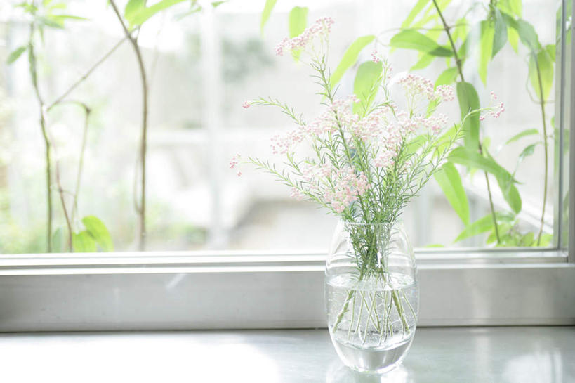 无人,横图,室内,特写,白天,正面,植物,窗户,花瓶,叶子,阴影,朦胧,模糊,反射,影子,绿叶,玻璃窗,玻璃制品,一个,绿色,自然,玻璃瓶,瓶子,嫩叶,生长,单个,成长,叶,叶片,彩图