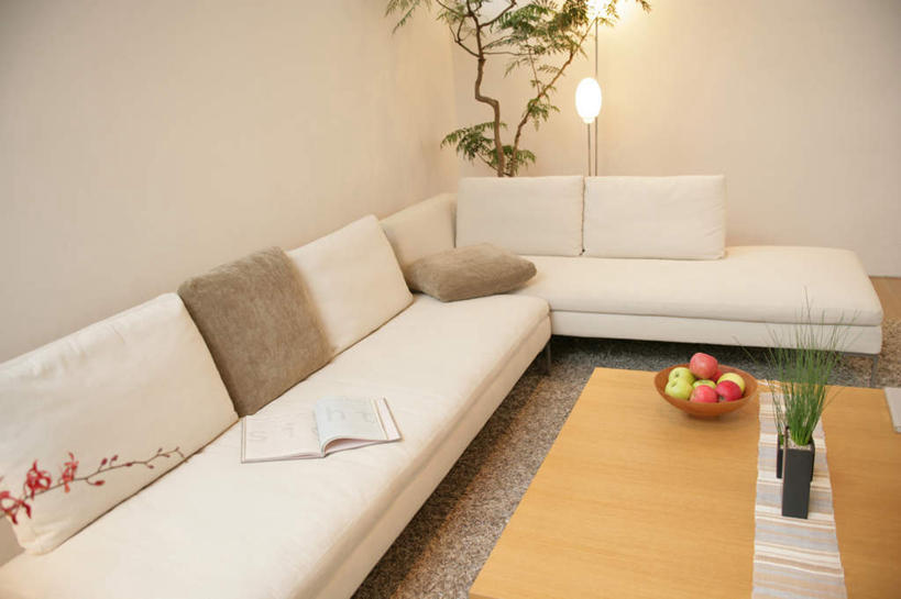 无人,家,客厅,横图,俯视,室内,白天,植物,别墅,地板,家具,靠垫,沙发,装修,桌子,建筑,苹果,水果,纺织品,照明,欧式,阴影,新鲜,装饰,光线,木制,毛毯,盆栽,毯子,影子,房屋,墙,屋子,公寓,灯光,生食,食品,果实,靠枕,盆景,地面,豪华,茶几,建设,现代,装潢,洋房,楼房,木地板,墙壁,墙面,住宅,灯,食物,纺织,绿色,自然,木制品,灯具,垫子,落地灯,室内装潢,枕头,青苹果,温暖,有机食品,绿色食品,生长,成长,华丽,修饰,样板房,明亮,照亮,点缀,起居室,舒适,家居装潢,照明设备,房屋设计,地中海风格,古典风格,简约风格,布艺沙发,室内设计,宽敞,样板房装潢,衬托,美观,雅致,雅观,客堂,设计,彩图,高角度拍摄,房子