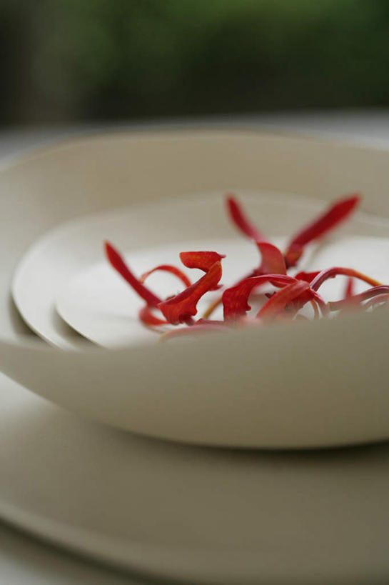 无人,竖图,俯视,室内,特写,白天,植物,餐桌,窗户,桌子,餐具,一堆,堆叠,堆积,朦胧,模糊,盛开,碟子,盘,陶瓷,陶瓷制品,花蕾,玻璃窗,花,花瓣,花朵,鲜花,树,树木,红色,绿色,自然,盘子,餐巾,容器,碟,碗,花苞,花蕊,生长,成长,餐台,储藏,堆,储存,保洁方巾,口布,彩图,高角度拍摄,贮存