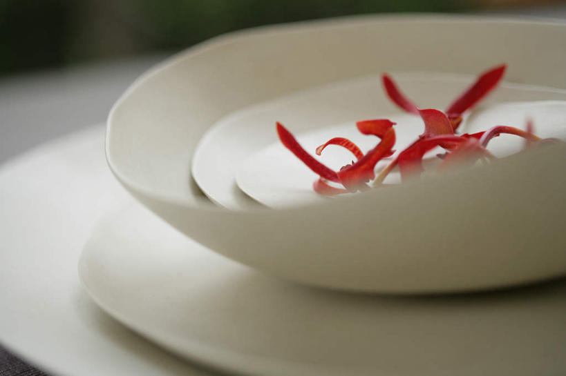 无人,横图,俯视,室内,特写,白天,窗户,餐具,一堆,堆叠,堆积,朦胧,模糊,盛开,碟子,盘,陶瓷,陶瓷制品,花蕾,玻璃窗,花,花瓣,花朵,鲜花,红色,盘子,餐巾,容器,碟,碗,花苞,花蕊,储藏,堆,储存,保洁方巾,口布,彩图,高角度拍摄,贮存