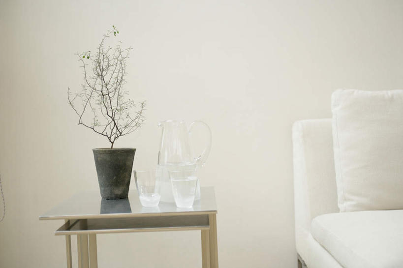 无人,客厅,横图,室内,白天,正面,植物,靠垫,沙发,杯子,盆栽,墙,靠枕,盆景,墙壁,墙面,玻璃制品,绿色,自然,水杯,垫子,枕头,生长,成长,起居室,布艺沙发,客堂,玻璃杯,彩图