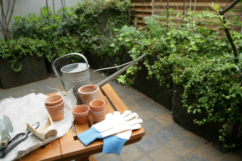 无人,横图,俯视,室外,白天,安全,植物,桌面,桌子,花盆,木制,壶,盆栽,防护,盆景,洒水壶,水壶,绿色,自然,木制品,手套,生长,成长,保护,保险,保全,周全,安稳,安定,防护手套,浇水壶,平安,彩图,高角度拍摄