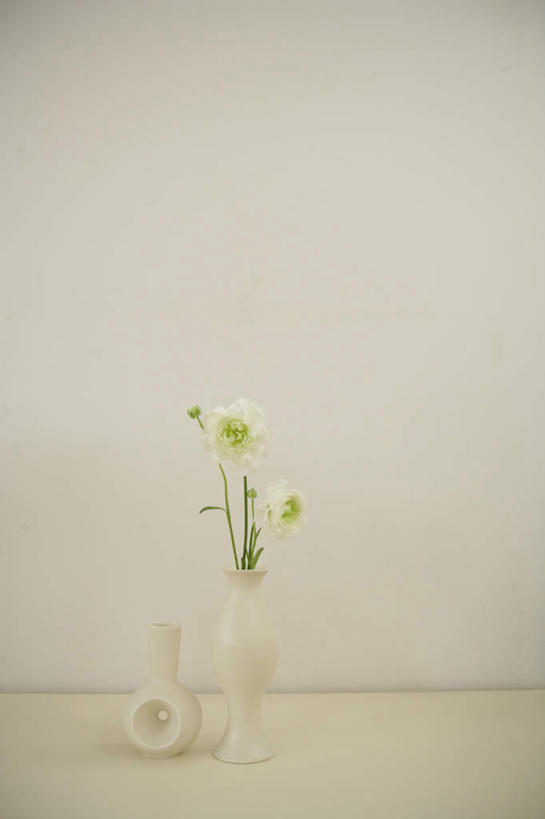 无人,竖图,室内,特写,白天,正面,智慧,花瓶,叶子,阴影,朦胧,模糊,艺术,盛开,反射,影子,陶瓷,墙,绿叶,陶瓷制品,花蕾,文化,墙壁,墙面,花,花瓣,花朵,鲜花,一个,白色,插花,瓶子,花苞,花蕊,嫩叶,单个,插花艺术,创造,创作,想象,惜别,不舍,情有独钟,红药,将离,婪尾春,离草,犁食,芍药,余容,叶,叶片,彩图