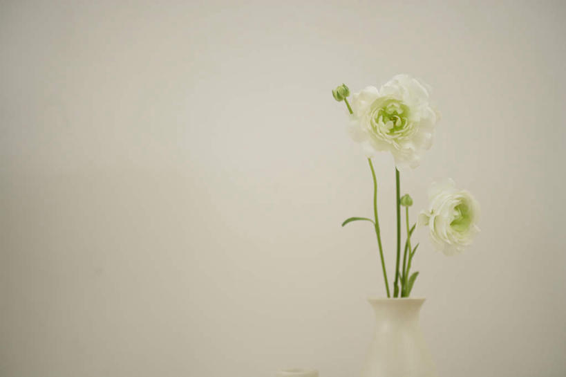 无人,横图,室内,特写,白天,正面,智慧,花瓶,叶子,阴影,朦胧,模糊,艺术,盛开,反射,影子,陶瓷,墙,绿叶,陶瓷制品,花蕾,文化,墙壁,墙面,花,花瓣,花朵,鲜花,一个,白色,插花,瓶子,花苞,花蕊,嫩叶,单个,插花艺术,创造,创作,想象,惜别,不舍,情有独钟,红药,将离,婪尾春,离草,犁食,芍药,余容,叶,叶片,彩图