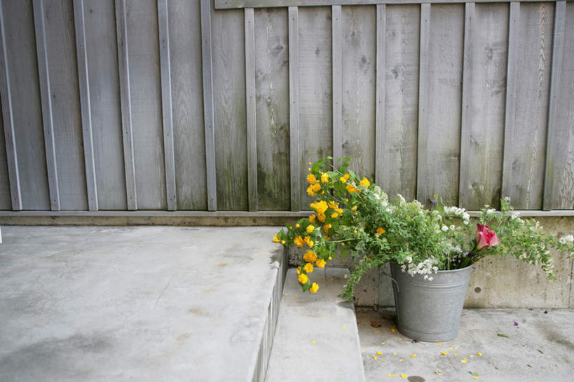 无人,横图,俯视,室外,特写,白天,植物,楼梯,叶子,盛开,木制,盆栽,阶梯,墙,绿叶,盆景,花蕾,墙壁,墙面,台阶,花,花瓣,花朵,鲜花,黄色,绿色,自然,木制品,花苞,花蕊,嫩叶,生长,成长,叶,叶片,彩图,高角度拍摄