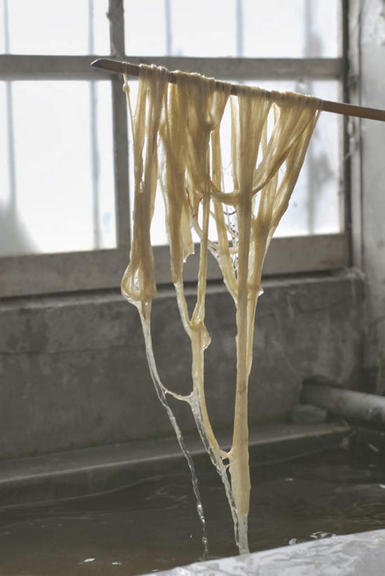 无人,竖图,室内,特写,白天,正面,窗户,静物,一堆,许多,吊挂,悬挂,堆叠,堆积,工具,水槽,很多,挂,水斗,玻璃窗,器械,拐杖,皮肤,堆,手杖,医疗器械,辅助设备,彩图