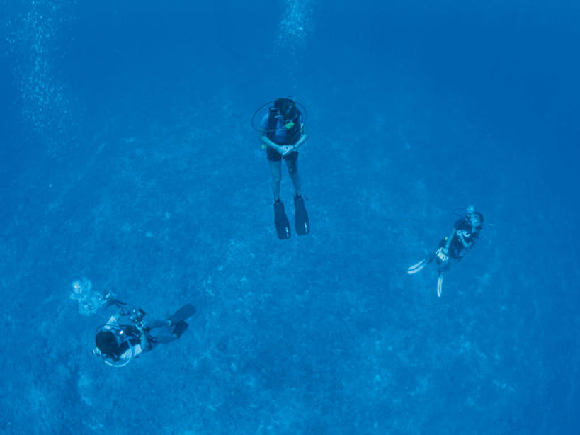 游泳,东方人,三个人,伙伴,朋友,横图,俯视,室外,白天,锻炼,友谊,运动,合作,团队,海底,水下,海浪,海洋,亚洲,潜水员,潜水镜,泳镜,浪花,水底,注视,黄种人,海水,观察,看,蛙鞋,氧气罩,战略,海底世界,潜水,观看,脚蹼,呼吸管,察看,关注,潜水装备,海景,面镜,浮潜,潜水运动,联合,合谋,水中呼吸器,配合,体育,协作,年轻女性,女人,女性,亚洲人,大海,风浪,海,海床,海水的波动,近岸浪,涌浪,彩图,高角度拍摄,全身,健身