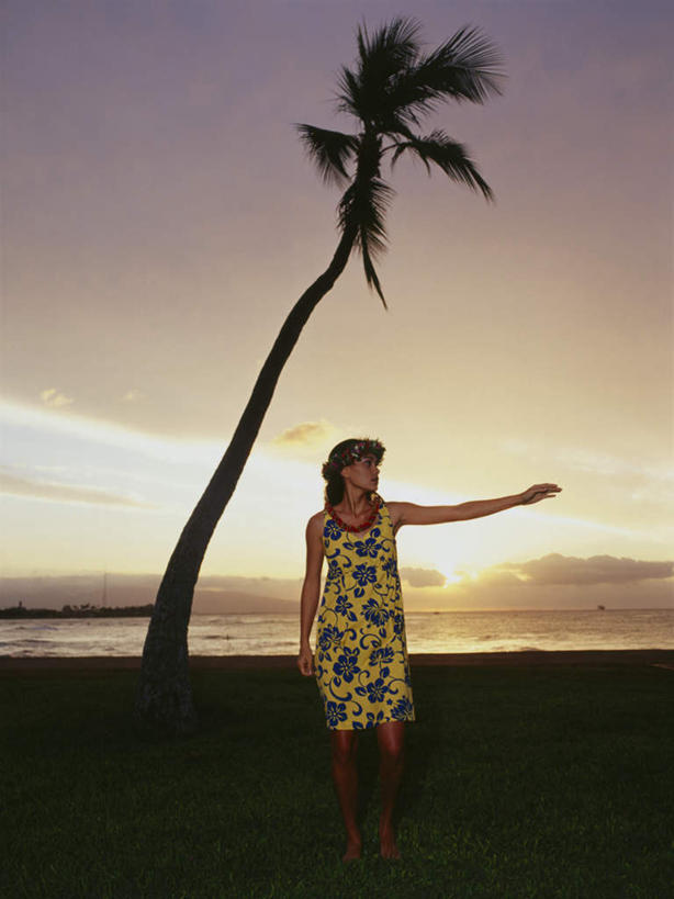 东方人,一个人,跳舞者,站,竖图,室内,白天,正面,裙子,跳舞,海浪,海洋,日落,沙滩,植物,棕榈树,叶子,亚洲,仅一个年轻女性,仅一个女性,仅一个人,阴影,连衣裙,服装,装饰,盛开,光线,花环,沙子,影子,海岸,浪花,晚霞,霞光,落日,绿叶,沙地,花蕾,扭头,注视,黄种人,花,花瓣,花朵,鲜花,树,树木,衣服,绿色,阳光,自然,海水,黄昏,花苞,花蕊,观察,看,站着,转头,嫩叶,彩霞,服饰,生长,成长,观看,华丽,修饰,点缀,察看,衣着,穿着,关注,草裙舞,舞姿,海景,棕榈叶,衬托,美观,雅致,雅观,衣饰,夕照,年轻女性,女人,女性,亚洲人,叶,叶片,大海,风浪,海,海水的波动,海滩,近岸浪,涌浪,夕阳,舞蹈家,舞蹈演员,舞者,站立,张开手臂,彩图,全身,舞蹈,呼拉舞,斜阳