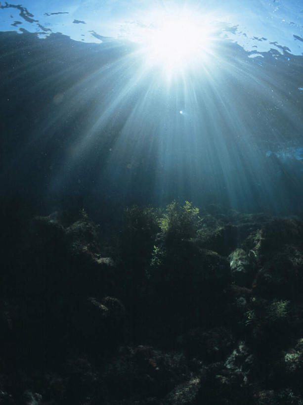 无人,竖图,室外,白天,仰视,海浪,海洋,美景,太阳,阴影,梦幻,发光,光束,光线,珊瑚,影子,景观,浪花,光亮,珊瑚礁,阳光,自然,海水,景色,未来,发亮,自然风光,海景,憧憬,海底礁,大海,风浪,海,海水的波动,礁,近岸浪,岩石,涌浪,彩图,低角度拍摄