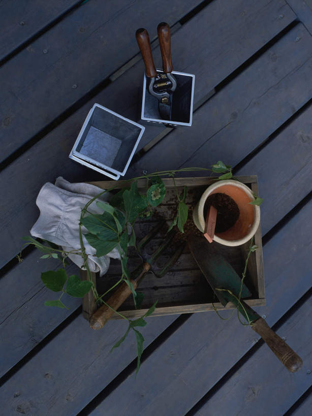 无人,竖图,俯视,室外,特写,白天,美景,植物,桌面,桌子,木制,工具,盆栽,景观,盆景,绿色,自然,木制品,景色,生长,成长,加热,自然风光,喷灯,彩图,高角度拍摄,冲灯,喷火灯