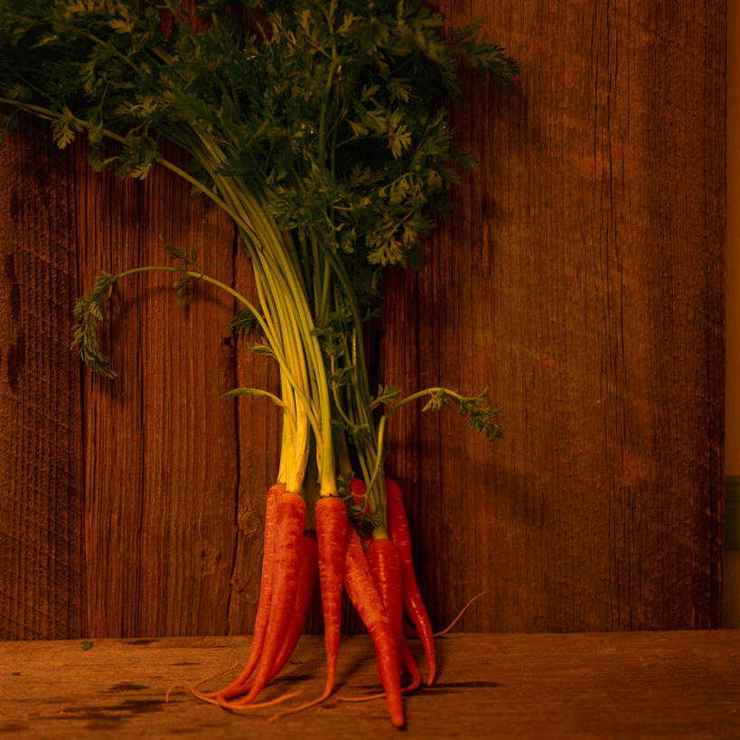 无人,方图,室内,特写,白天,正面,萝卜,胡萝卜,蔬菜,叶子,许多,朦胧,模糊,新鲜,墙,食品,绿叶,地面,墙壁,墙面,食物,嫩叶,摄影,有机食品,绿色食品,影棚,摆放,叶,叶片,红萝卜,甘荀,彩图,影棚拍摄,拍摄