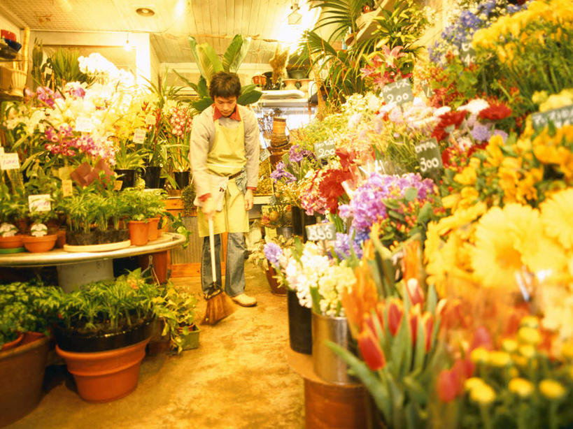 东方人,一个人,花商,花店,站,横图,室内,白天,正面,亚洲,仅一个男性,仅一个人,许多,握,服装,盛开,工具,扫帚,围裙,拿,花蕾,拿着,注视,休闲装,黄种人,花,花瓣,花朵,鲜花,仅一个年轻男性,衣服,花苞,花蕊,观察,看,清洁,站着,休闲,休闲服,握着,服饰,打扫,观看,扫把,察看,卫生,关注,保洁,扫地,笤帚,男人,男性,年轻男性,亚洲人,花店老板,花贩,卖花人,站立,彩图,全身