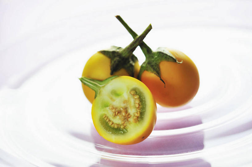 无人,横图,俯视,室内,特写,白天,白色背景,水,餐桌,桌子,茄子,蔬菜,餐具,阴影,新鲜,反射,圆形,碟子,盘,图形,液体,影子,圆,水滴,食品,几何,食物,三个,盘子,碟,橙色,摄影,有机食品,绿色食品,影棚,餐台,数学,横截面,剖面,截面,截面图形,落苏,酪酥,昆仑瓜,矮瓜,彩图,高角度拍摄,影棚拍摄,拍摄,几何图形,袖珍茄子,平面图形