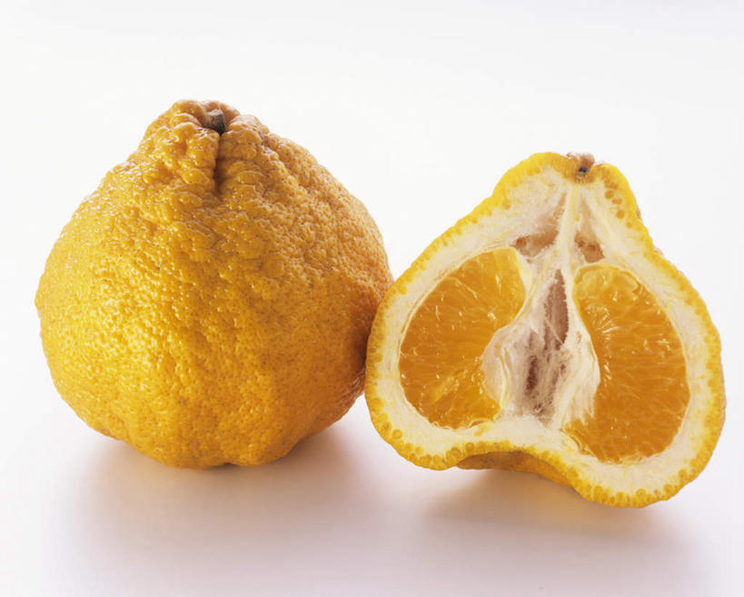 无人,横图,俯视,室内,特写,白天,白色背景,餐桌,桌子,柑橘,水果,切开,阴影,新鲜,反射,影子,生食,食品,果实,食物,两个,黄色,切,摄影,有机食品,绿色食品,影棚,餐台,剖面,切面,牙买加丑橘,橘子,桔子,橙子,橙,彩图,高角度拍摄,影棚拍摄,拍摄