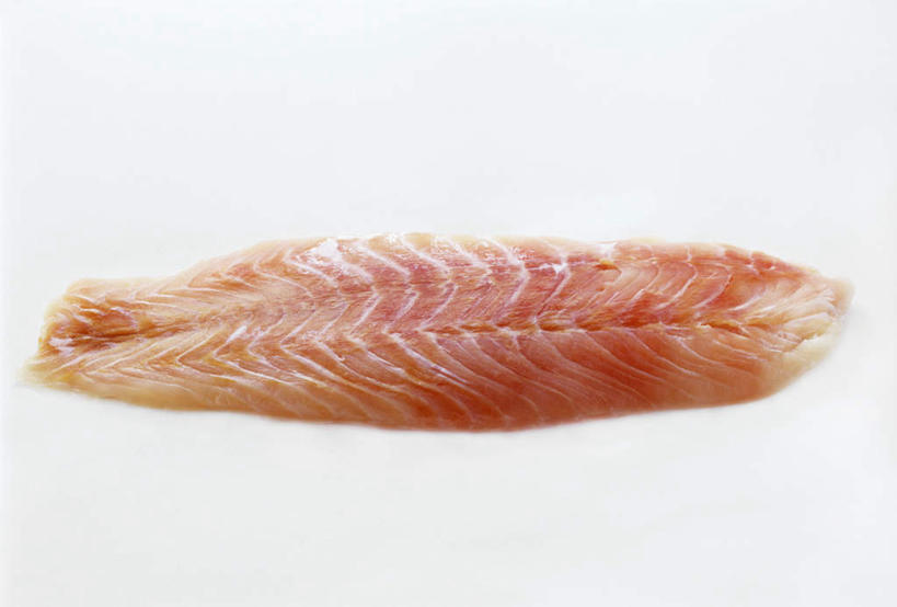 海鲜,生鱼片,无人,横图,俯视,室内,特写,白天,白色背景,餐桌,桌子,一片,阴影,反射,鱼,影子,肉,鱼肉,鱼片,水产,肉类,鱼类,海洋生物,红色,摄影,影棚,餐台,水生动物,海产品,水生物,肉食,海底动物,鳕鱼,沙西米,鳘鱼,彩图,高角度拍摄,影棚拍摄,拍摄,刺身