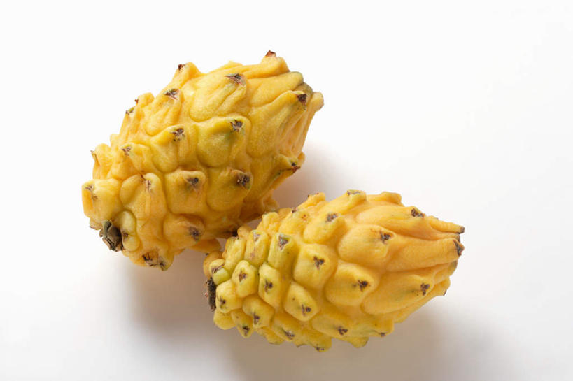 无人,横图,俯视,室内,特写,白天,白色背景,餐桌,桌子,水果,阴影,新鲜,反射,影子,生食,食品,果实,火龙果,食物,两个,黄色,青龙果,摄影,有机食品,绿色食品,影棚,餐台,麒麟果,彩图,高角度拍摄,影棚拍摄,拍摄