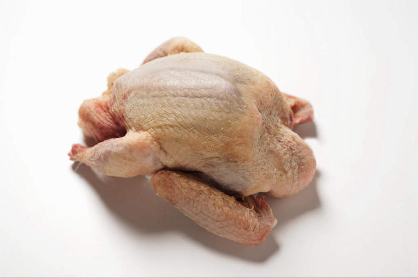 无人,横图,俯视,室内,特写,白天,白色背景,友谊,鸽子,鸟,阴影,反射,鸟类,影子,肉,肉类,一只,摄影,影棚,象征,和平,肉食,乳鸽肉,信使,彩图,高角度拍摄,影棚拍摄,拍摄