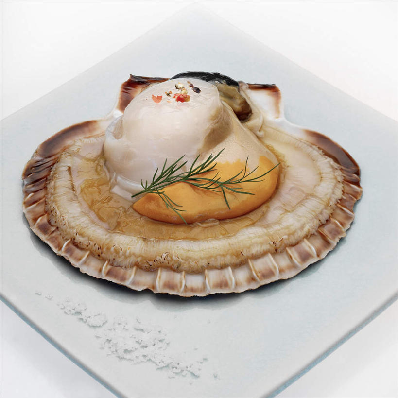 海鲜,无人,方图,俯视,室内,特写,白天,白色背景,餐桌,桌子,餐具,叶子,阴影,装饰,反射,碟子,盘,影子,绿叶,扇贝,水产,海洋生物,一个,盘子,碟,嫩叶,摄影,影棚,单个,餐台,华丽,修饰,点缀,配菜,水生动物,海产品,水生物,海底动物,衬托,美观,雅致,雅观,叶,叶片,彩图,高角度拍摄,影棚拍摄,拍摄