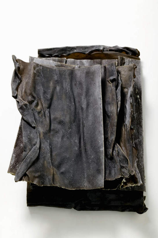 无人,竖图,俯视,室内,特写,白天,白色背景,餐桌,桌子,一堆,许多,阴影,堆叠,堆积,反射,影子,很多,黑色,海藻,摄影,影棚,餐台,堆,海草,彩图,高角度拍摄,影棚拍摄,拍摄