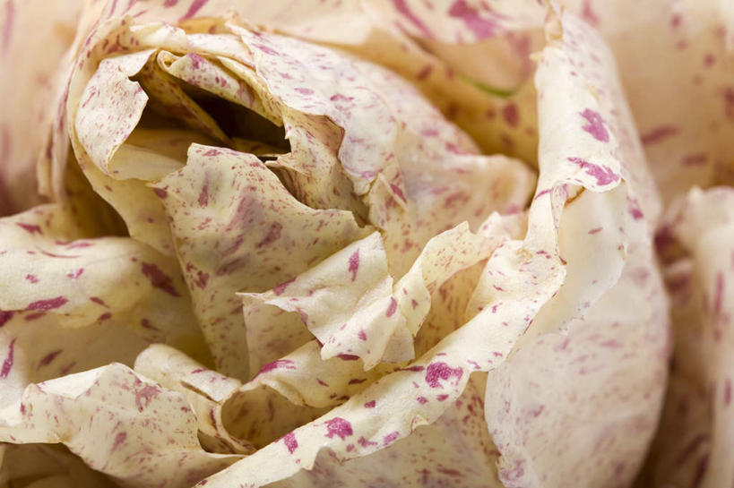 无人,横图,俯视,室内,特写,白天,餐桌,桌子,蔬菜,阴影,新鲜,反射,影子,生菜,莴苣,生食,蔬菜沙拉,沙拉,食品,色拉,沙律,食物,摄影,有机食品,绿色食品,影棚,餐台,色拉酱,千岛酱,春菜,鹅仔菜,莴仔菜,千金菜,叶用莴苣,彩图,高角度拍摄,影棚拍摄,拍摄