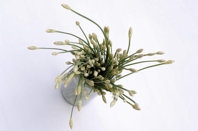 无人,横图,俯视,室内,特写,白天,白色背景,植物,餐桌,桌子,花瓶,许多,阴影,反射,影子,葱,草药,药草,中药,玻璃制品,绿色,自然,玻璃瓶,瓶子,摄影,影棚,生长,成长,餐台,细香葱,香葱,药材,中草药,中药材,本草,彩图,高角度拍摄,影棚拍摄,拍摄