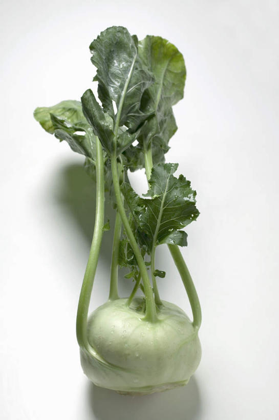 无人,竖图,俯视,室内,特写,白天,白色背景,餐桌,桌子,蔬菜,叶子,阴影,新鲜,反射,影子,食品,绿叶,芜菁,食物,一个,绿色,白色,嫩叶,摄影,有机食品,绿色食品,影棚,单个,餐台,蔓菁,盘菜,大头芥,叶,叶片,彩图,高角度拍摄,影棚拍摄,拍摄