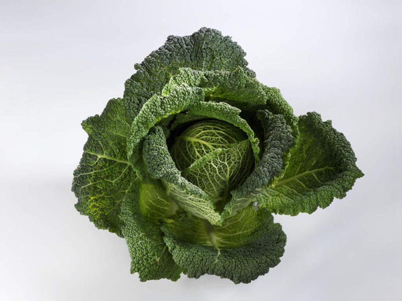 无人,横图,俯视,室内,特写,白天,白色背景,餐桌,桌子,蔬菜,椰菜,卷心菜,阴影,新鲜,反射,影子,食品,食物,一个,绿色,甘蓝,摄影,有机食品,绿色食品,影棚,单个,餐台,皱叶甘蓝,皱叶包菜,皱叶洋白菜,皱叶椰菜,皱叶圆白菜,结球甘蓝,甘兰,包心菜,彩图,高角度拍摄,影棚拍摄,拍摄
