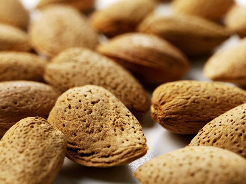 无人,横图,俯视,室内,特写,白天,餐桌,桌子,杏仁,许多,阴影,朦胧,模糊,反射,影子,很多,排列,餐台,摆列,杏子,杏梅仁,杏核仁,木落子,苦杏仁,彩图,高角度拍摄,布列,分列