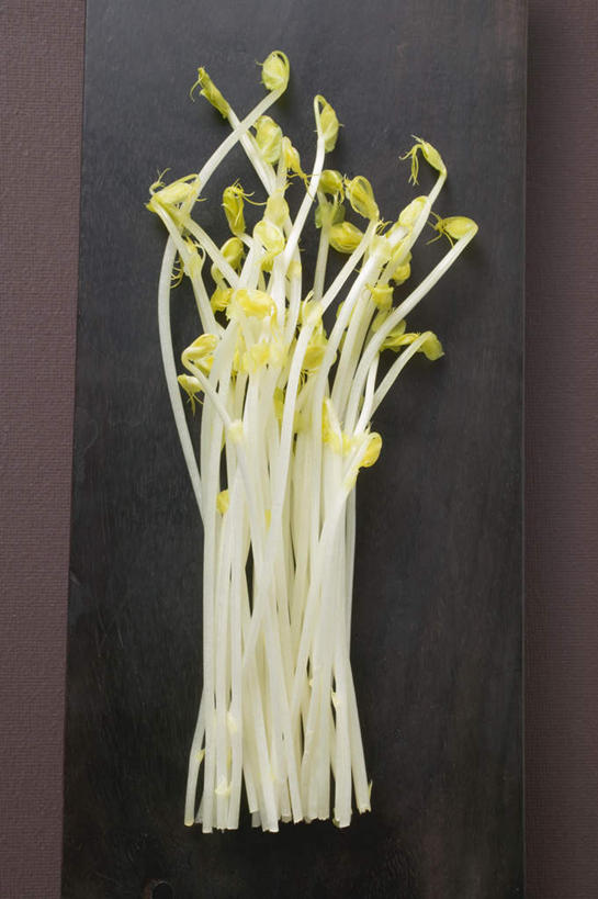 无人,竖图,俯视,室内,特写,白天,蔬菜,餐具,一堆,许多,阴影,堆叠,堆积,黑色背景,新鲜,反射,碟子,盘,影子,豆芽,黄豆芽,食品,食物,盘子,碟,摄影,有机食品,绿色食品,影棚,堆,豆芽菜,芽苗菜,彩图,高角度拍摄,影棚拍摄,拍摄