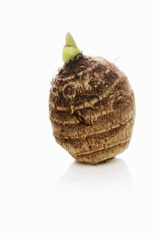 无人,竖图,俯视,室内,特写,白天,白色背景,餐桌,桌子,蔬菜,阴影,新鲜,反射,影子,芋头,食品,褐色,食物,一个,毛芋,毛芋头,芋奶,摄影,有机食品,绿色食品,影棚,单个,餐台,青芋,芋子,芋艿,彩图,高角度拍摄,影棚拍摄,拍摄