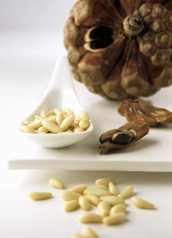 无人,竖图,俯视,室内,特写,白天,白色背景,阴影,朦胧,模糊,反射,影子,勺子,坚果,果实,松果,调羹,汤匙,干果,摄影,影棚,松塔,彩图,高角度拍摄,影棚拍摄,拍摄