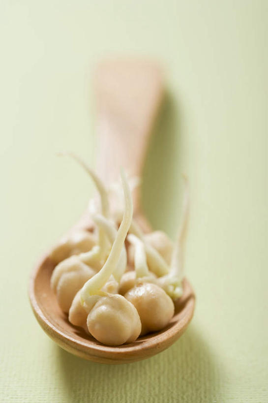 无人,竖图,俯视,室内,特写,白天,蔬菜,绿色背景,朦胧,模糊,新鲜,勺子,豆类,食品,食物,调羹,汤匙,摄影,有机食品,绿色食品,影棚,鹰嘴豆,回鹘豆,桃豆,鸡豆,诺胡提,彩图,高角度拍摄,影棚拍摄,拍摄