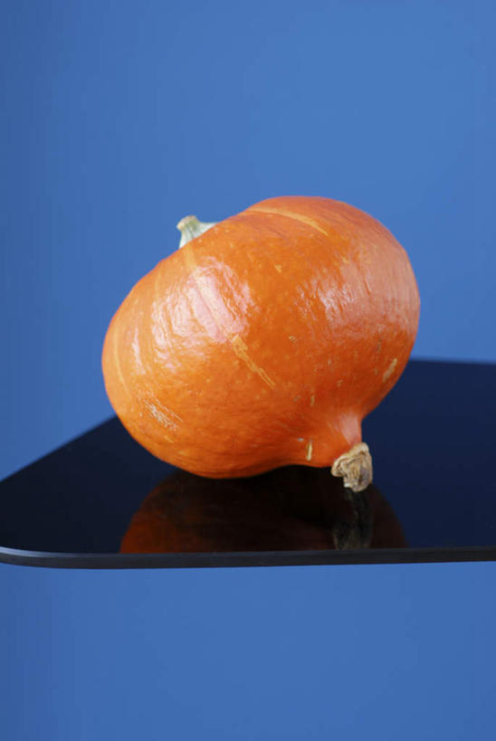 无人,竖图,俯视,室内,特写,白天,南瓜,蓝色背景,金瓜,番瓜,红色,摄影,影棚,麦瓜,倭瓜,彩图,高角度拍摄,影棚拍摄,拍摄