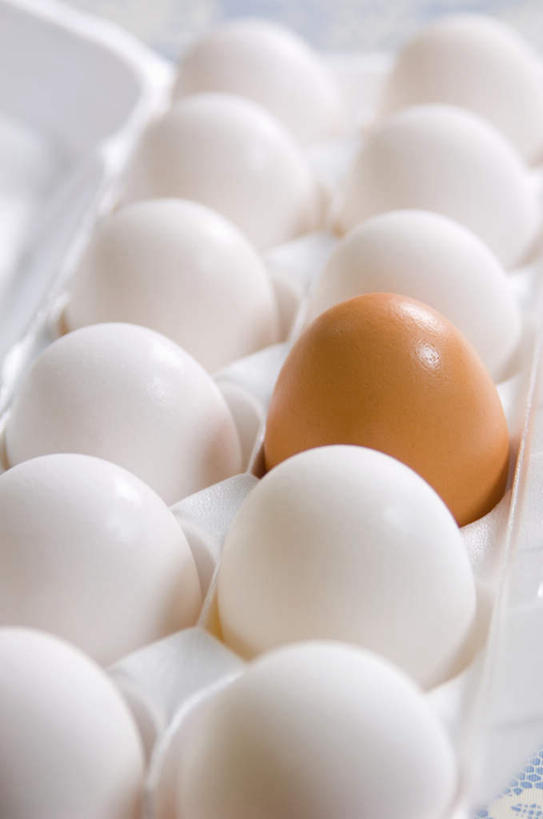 无人,竖图,俯视,室内,特写,白天,白色背景,许多,环保,朦胧,模糊,蛋格,蛋,鸡蛋,排列,白色,橙色,摄影,影棚,能源,回收,资源,利用,低碳,鸡蛋盒,循环,草鸡蛋,鸡蛋格,蛋托,蛋盒,卵,摆列,持续,彩图,高角度拍摄,影棚拍摄,拍摄,布列,分列