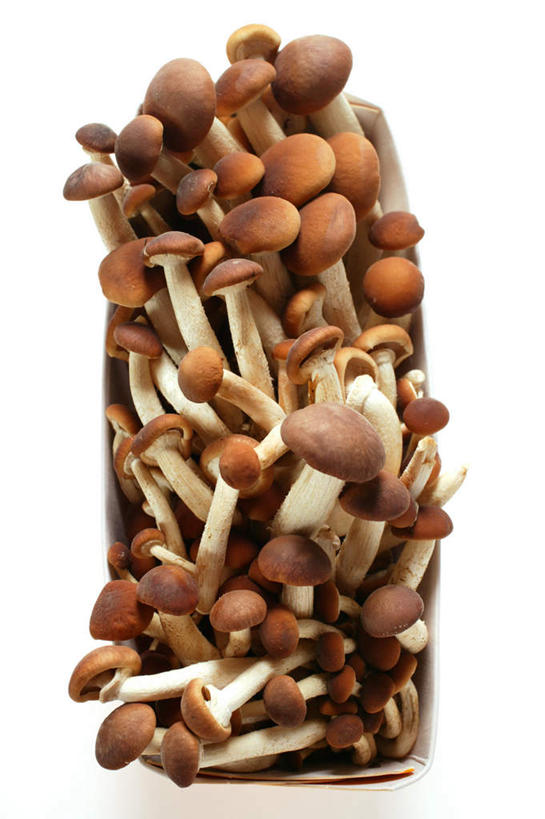 无人,竖图,俯视,室内,特写,白天,白色背景,餐桌,桌面,桌子,蔬菜,一堆,许多,阴影,堆叠,堆积,新鲜,反射,影子,菌菇,食品,菌类,平菇,食物,食用菌,摄影,有机食品,绿色食品,影棚,餐台,堆,姬菇,糙皮侧耳,侧耳,黑牡丹菇,彩图,高角度拍摄,影棚拍摄,拍摄