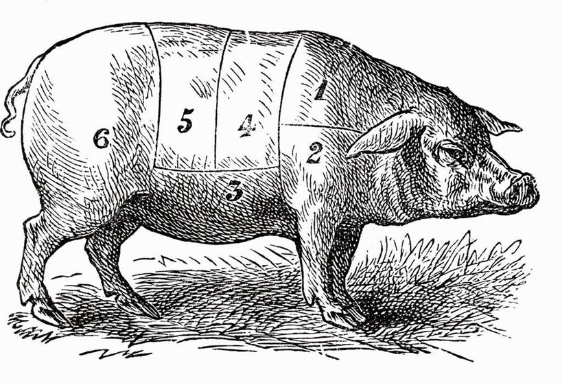 无人,站,横图,黑白,插画,室内,特写,白天,白色背景,侧面,抽象,数码,科技,猪,一头,阴影,网络,纹路,标志,数字,文字,纹理,字符,高光,几何,计算机图形,合成,图画,标识,手绘,画,一只,动物,站着,家畜,编号,创意,阿拉伯数字,牲畜,虚幻,电脑合成图,数码合成图,合成图,漫画,素描,肌理,写实,具体,具象,站立,全身