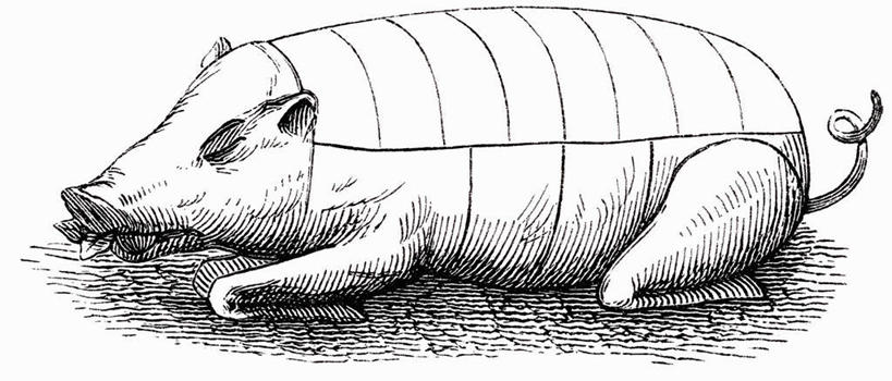 头,无人,横图,黑白,插画,室内,特写,白天,白色背景,正面,抽象,数码,科技,猪,阴影,网络,纹路,纹理,食品,高光,几何,计算机图形,切块,合成,图画,猪肉,手绘,画,食物,创意,虚幻,电脑合成图,数码合成图,切割,合成图,漫画,素描,肌理,写实,具体,具象,烤乳猪,头部