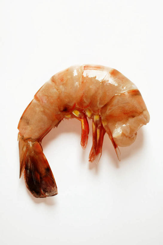 海鲜,无人,竖图,俯视,室内,特写,白天,白色背景,餐桌,桌面,桌子,阴影,弯曲,反射,影子,虾,虾仁,水产,大虾,海洋生物,一只,红色,摄影,影棚,对虾,餐台,水生动物,海产品,水生物,海底动物,斑节虾,东方对虾,中国对虾,彩图,高角度拍摄,影棚拍摄,拍摄